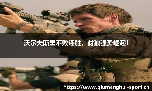 沃尔夫斯堡不败连胜，豺狼强势崛起！