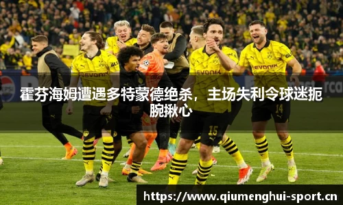霍芬海姆遭遇多特蒙德绝杀，主场失利令球迷扼腕揪心
